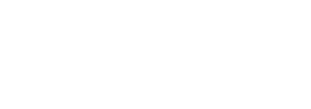 Toyseei logo